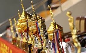 迈阿密马林鱼王牌阿尔坎塔拉（Sandy Alcantara）单季 6 场完投全票夺得赛扬奖