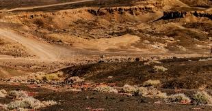 凰家看台｜一支紧张、大气、清醒的国字号队伍，国青三个当家球星的故事13亮21回复