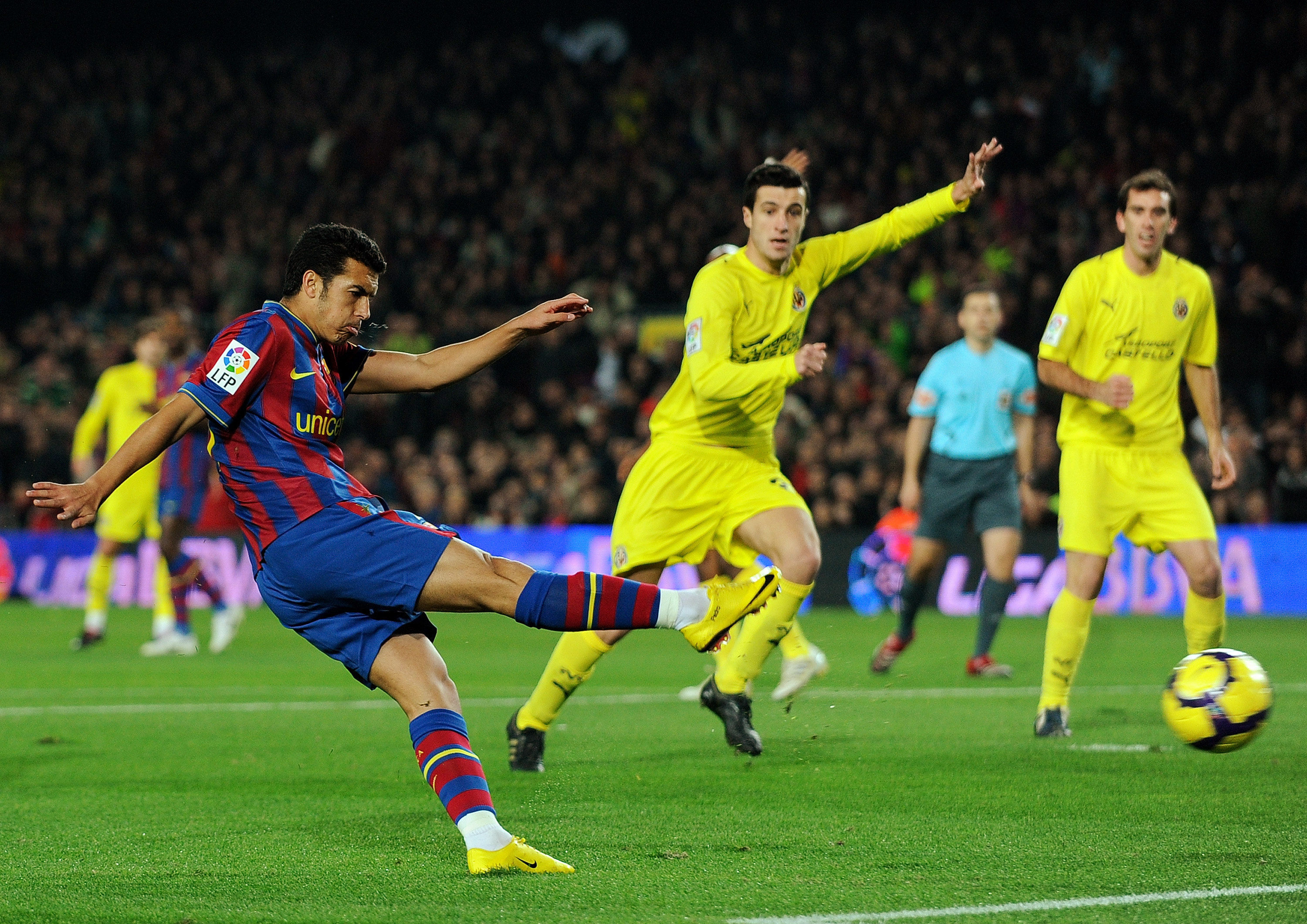 的多样性与 的多样性与